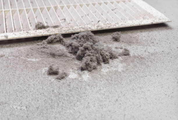 Best Affordable Air Duct Cleaning  in Grambling, LA