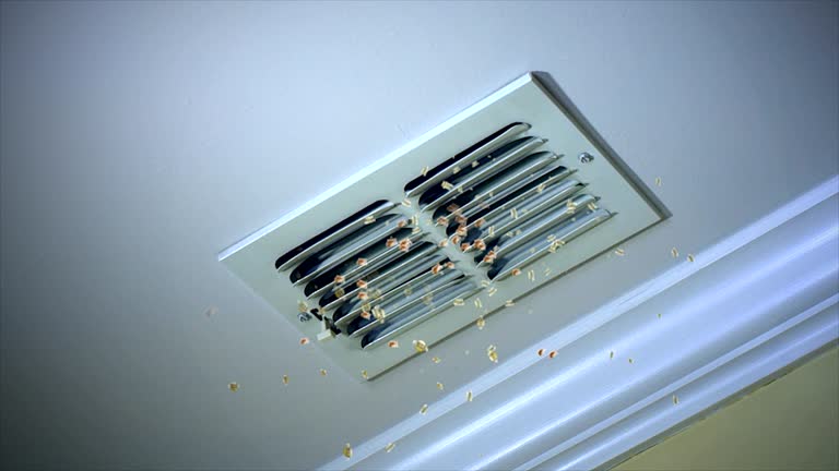 Best Air Duct Cleaning Near Me  in Grambling, LA
