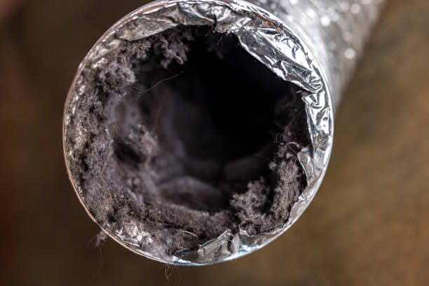 Best Professional Duct Cleaning Services  in Grambling, LA